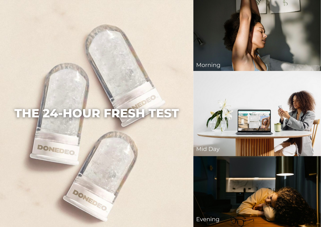 The 24-Hour Fresh Test – Can a Single Ingredient Really Go the Distance?